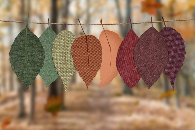 Herfstschoonmaak